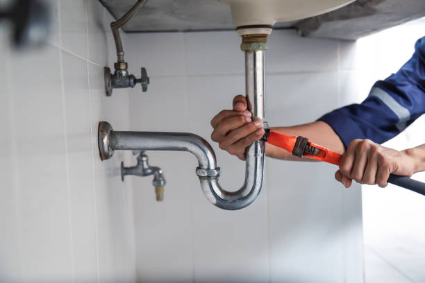 Best Local Plumber Services  in Bithlo, FL